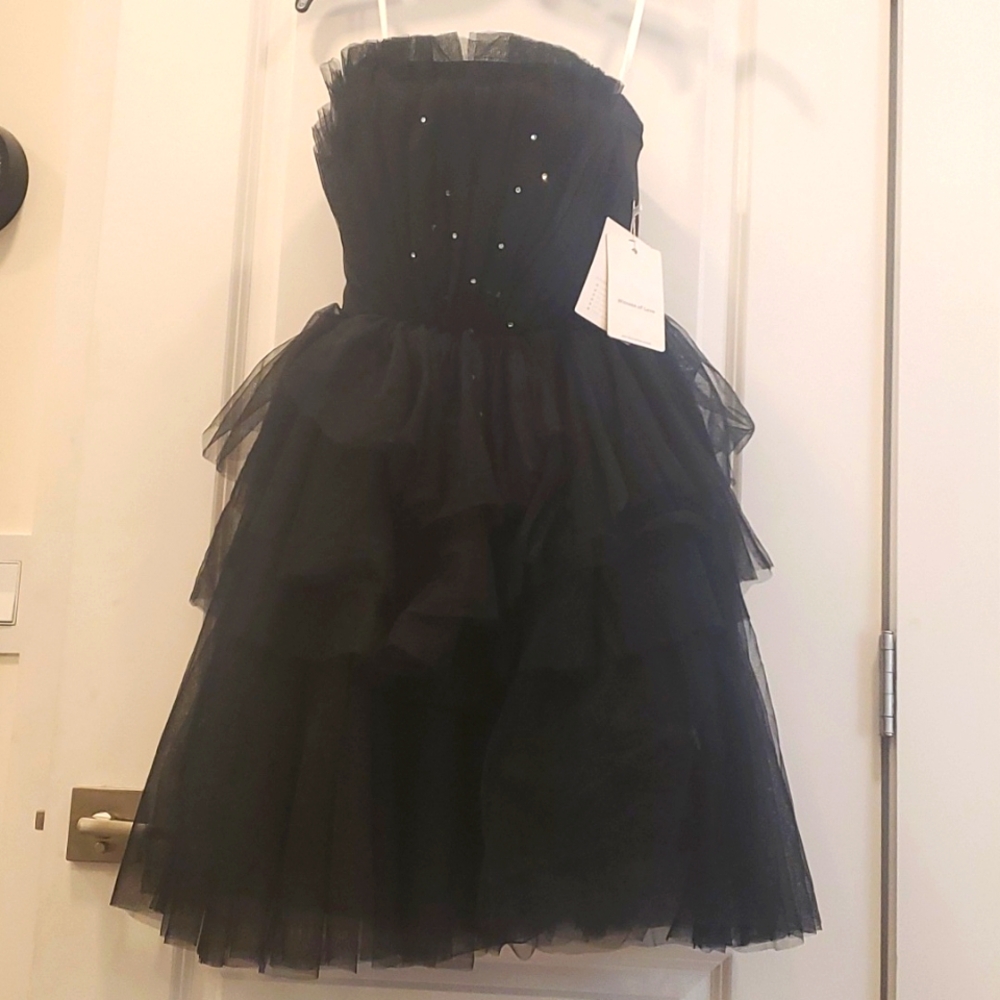 Witness of Love Black Tulle Dress, Size 2